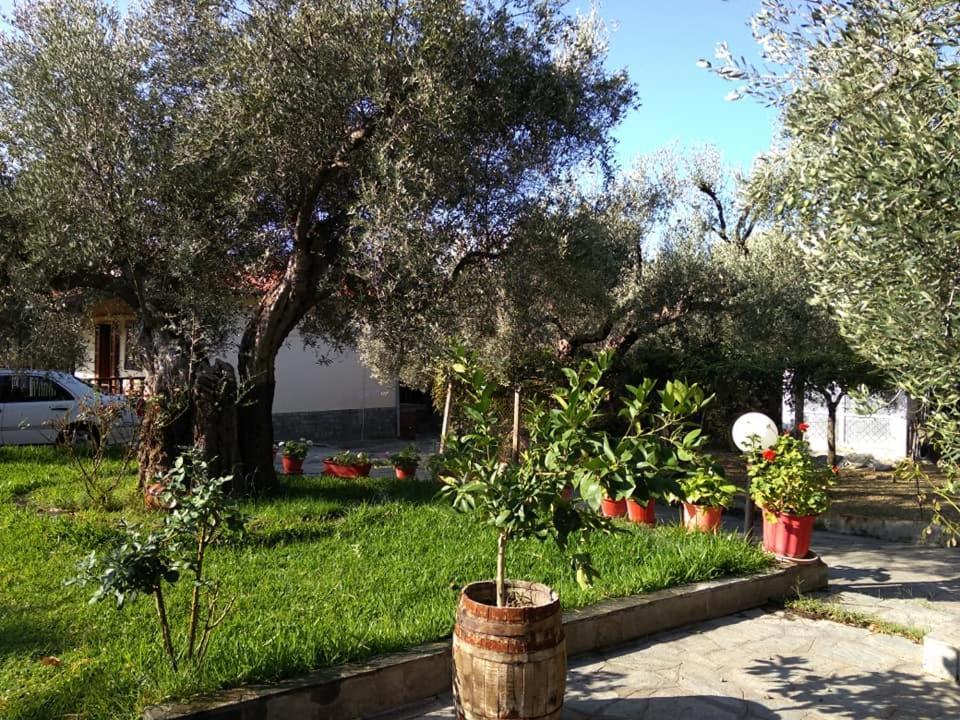 Villa Asimidou Αγία Παρασκευή Εξωτερικό φωτογραφία