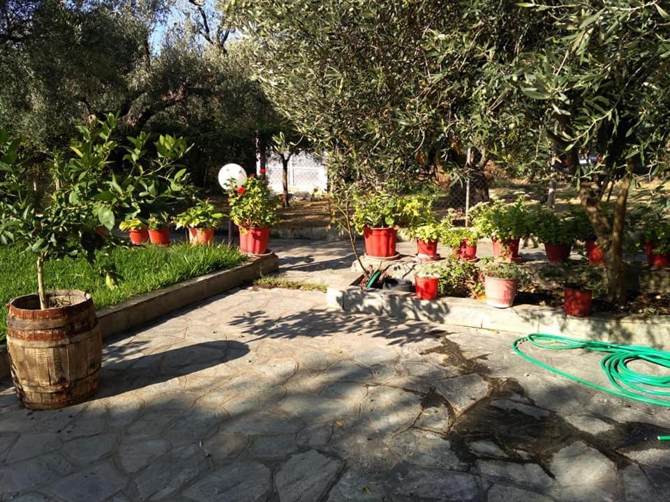 Villa Asimidou Αγία Παρασκευή Εξωτερικό φωτογραφία