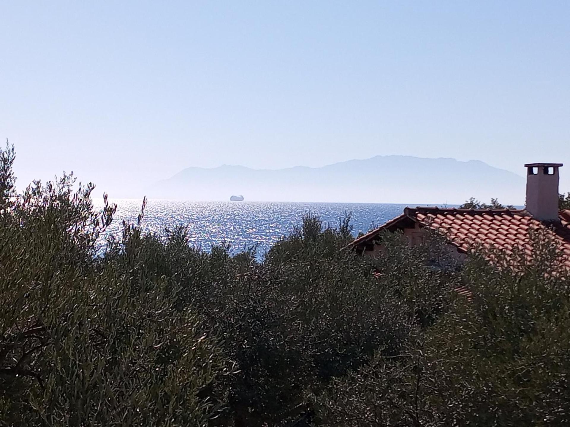 Villa Asimidou Αγία Παρασκευή Εξωτερικό φωτογραφία